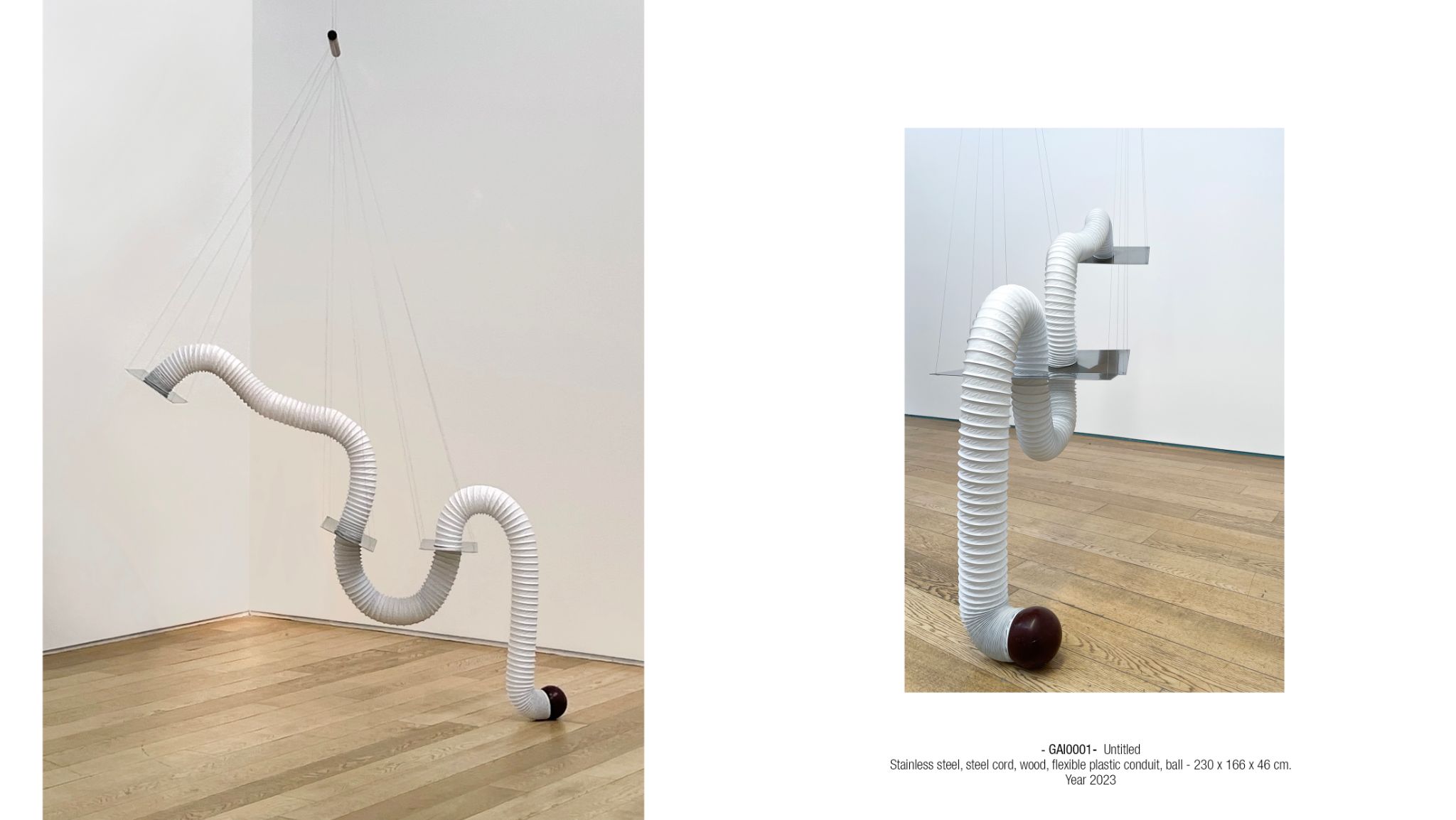 2025 DM port.para web. P19